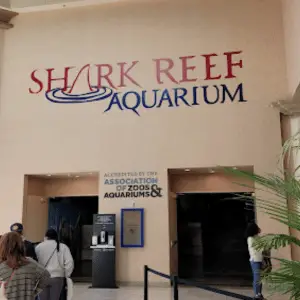 Aquário Shark Reef