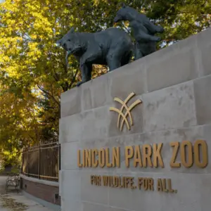 Lincoln Park Zoo Chicago